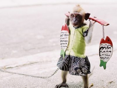 Atraksi Tradisional Yang Berada Di Jalanan Topeng Monyet