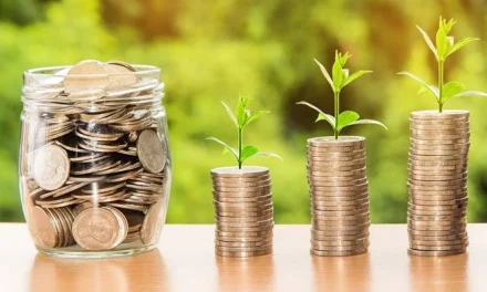 Ide Bisnis Dalam Mengembangkan Uang