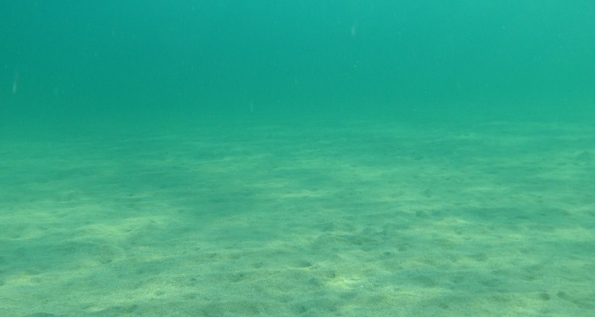 Ilmuwan Lacak Asal ‘Dark Oxygen’ Di Kedalaman Samudra