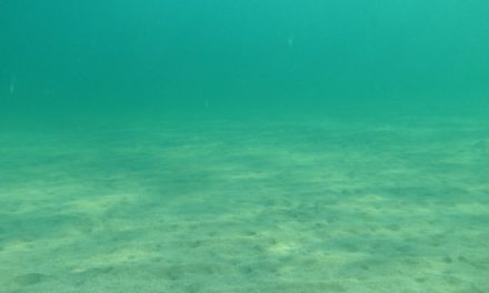 Ilmuwan Lacak Asal ‘Dark Oxygen’ Di Kedalaman Samudra