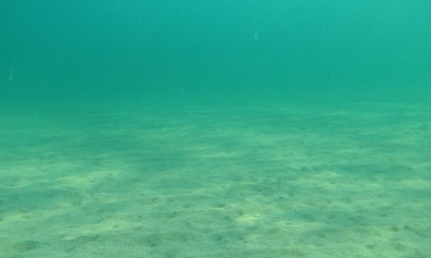 Ilmuwan Lacak Asal ‘Dark Oxygen’ Di Kedalaman Samudra