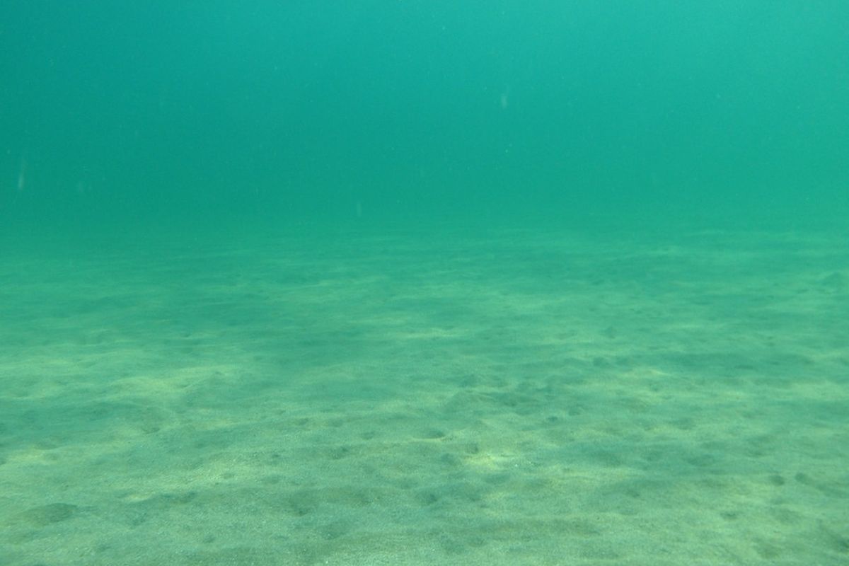 Ilmuwan Lacak Asal 'Dark Oxygen' Di Kedalaman Samudra