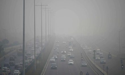 Fenomena Kabut Yang Sering Terjadi Di Daerah Dingin