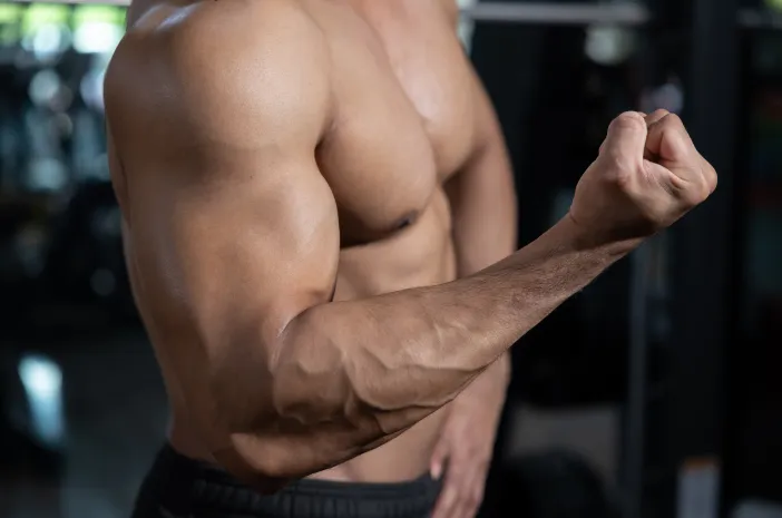 Suntikan Steroid Pada Pembentukan Massa Otot