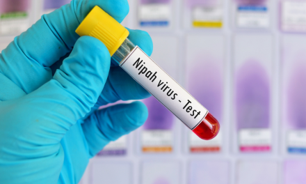 Virus Nipah Renggut Nyawa Wanita Di Bangladesh