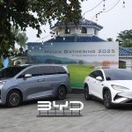 Geser Tesla, BYD Puncaki Klasemen Global