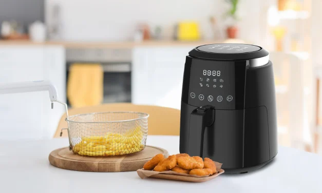 Jangan Tertipu Label Sehat! Cek Fakta Di Balik Air Fryer