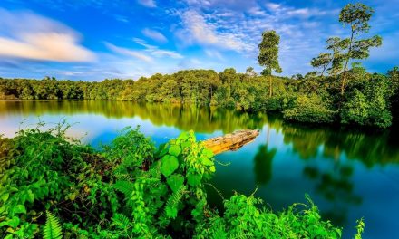 6 Wisata Lokal Yang Pernah Bikin Celeb Dunia Terpukau