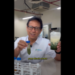 Menkes Sidak Kadar Gula Es Kopi Susu Kaki Lima