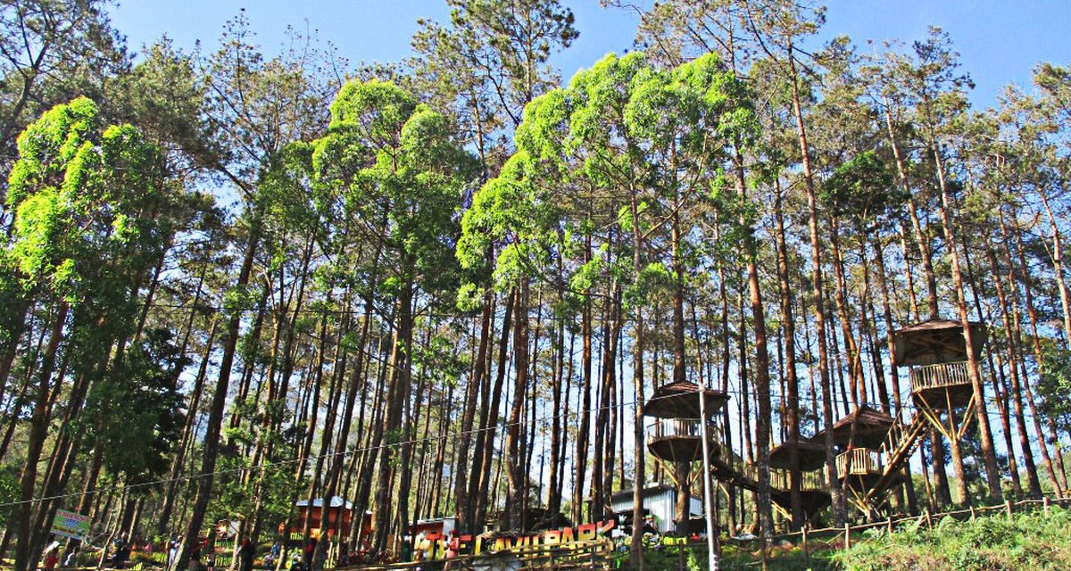 5 Spot Wisata Karanganyar Buat Liburan Keluarga