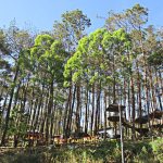 5 Spot Wisata Karanganyar Buat Liburan Keluarga