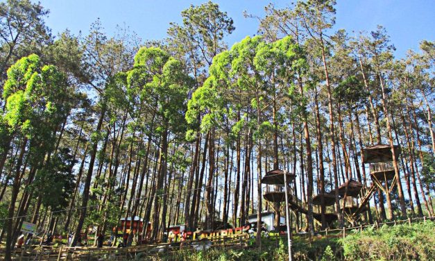 5 Spot Wisata Karanganyar Buat Liburan Keluarga
