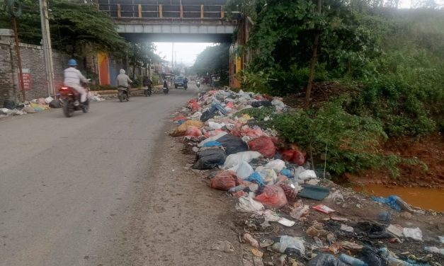 Bom Waktu Sampah Di Balik Padatnya Industri Morowali