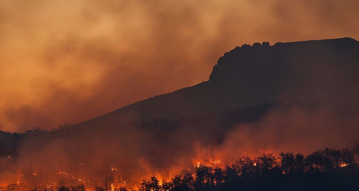 Petaka Karhutla: 4 Juta Ha Hutan Tropis Sirna