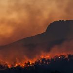 Petaka Karhutla: 4 Juta Ha Hutan Tropis Sirna
