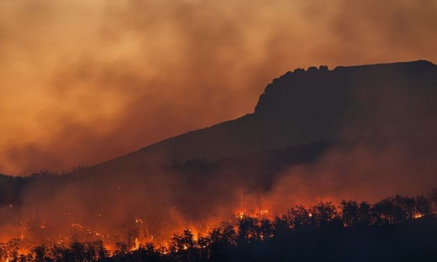 Petaka Karhutla: 4 Juta Ha Hutan Tropis Sirna
