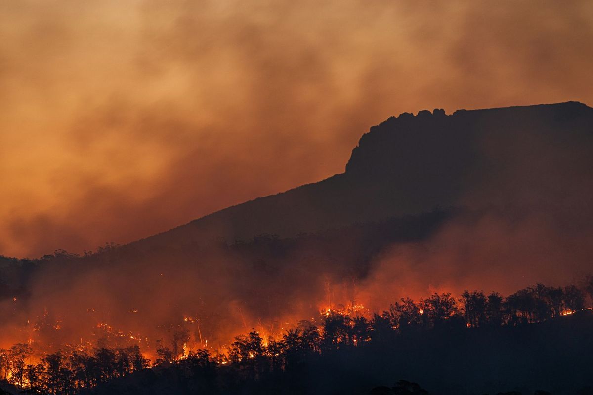 Petaka Karhutla: 4 Juta Ha Hutan Tropis Sirna