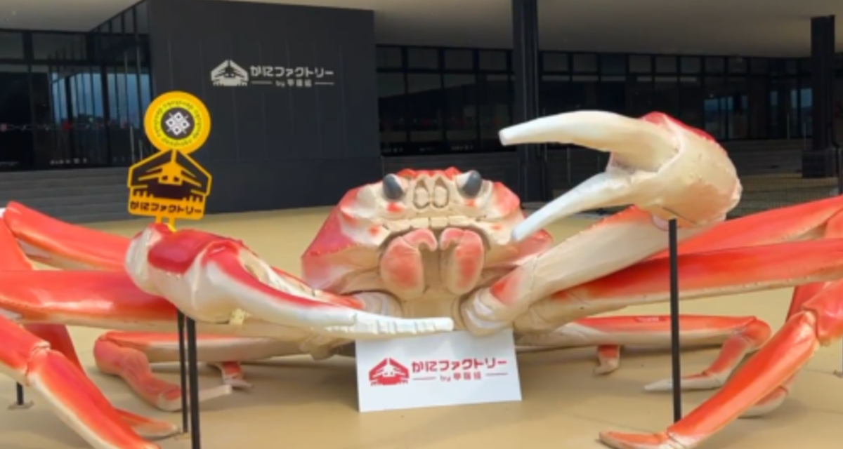 Intip Pabrik Kepiting Unik Di Jepang, Boleh Masuk Gratis!