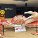 Intip Pabrik Kepiting Unik Di Jepang, Boleh Masuk Gratis!