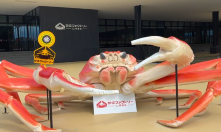Intip Pabrik Kepiting Unik Di Jepang, Boleh Masuk Gratis!