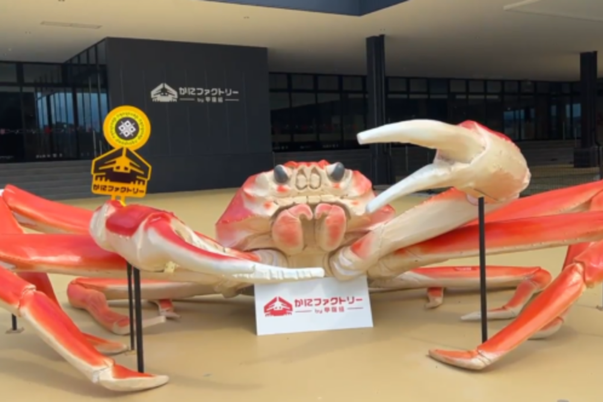 Intip Pabrik Kepiting Unik Di Jepang, Boleh Masuk Gratis!
